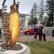 Big Kowhai Flower Napier