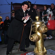 The Golden Fire Hydrant