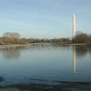 Constitution Gardens
