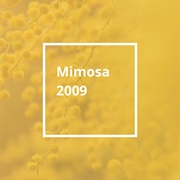 Pantone Color of the Year 2009: Mimosa
