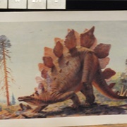 Stegosaurus