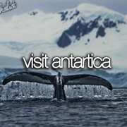 Visit Antarctica