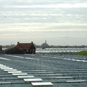 Westland, Netherlands