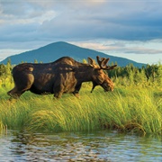 Katahdin Woods and Waters, ME (NPS)