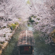 Go River, Kyoto