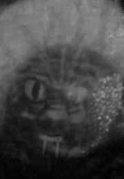 The Beast With a Million Eyes (1955)