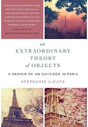 An Extraordinary Theory of Objects (Stephanie Lacava)