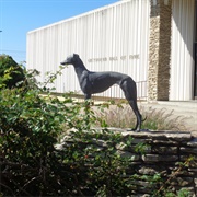 The Greyhound Hall of Fame