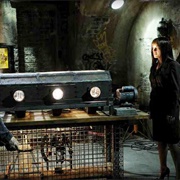 10 Pints of Sacrifice