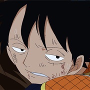 729. Kaen Ryuo - Protect Luffy's Life