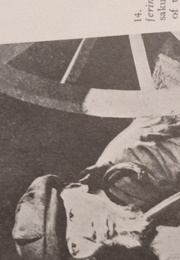 Human Suffering (1923)