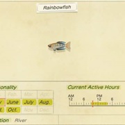 Rainbowfish