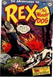 The Adventures of Rex the Wonder Dog (DC Comics)