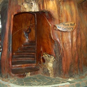 Kauri Staircase, Matakohe, New Zealand