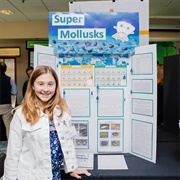 Compete in a Science Fair