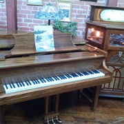 Orchestria Palm Court