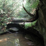 Boord State Nature Preserve
