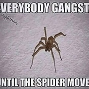 Everybody Gangsta 'Til