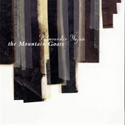 The Mountain Goats - Palmcorder Yajna