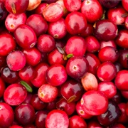 Eat Cranberries