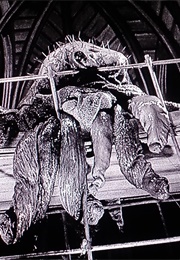 The Quatermass Xperiment (1955)