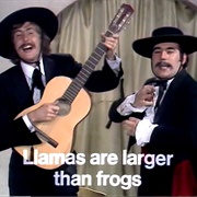 The Ant, an Introduction