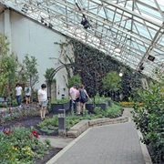 Foellinger-Friemann Botanical Conservatory