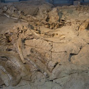 Dinosaur National Monument