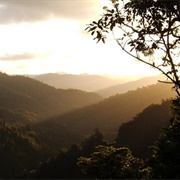 Mountains of Te Urewera National Park, North Island, NZ