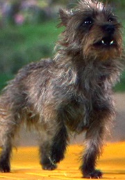 The Wizard of Oz (Toto) (1939)