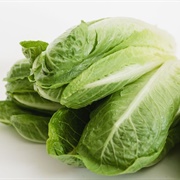 Lettuce Leaves