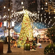 Dinner at Tavern on the Green in Central Park