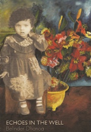 Echoes in the Well (Belinder Dhanoa)