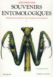 Souvenirs Entomologiques (Jean Henri Fabre)