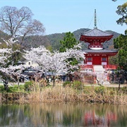 Daikakuji Temple, Kyoto