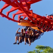 Kentucky Kingdom