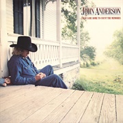 Would You Catch a Falling Star - John Anderson