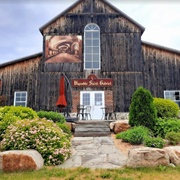 Vignoble Saint-Gabriel