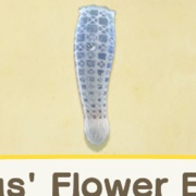 Venus' Flower Basket