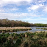 Trapper's Bay State Park