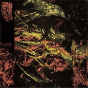 Hissing - Permanent Destitution