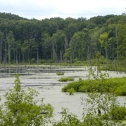 Novak State Nature Preserve