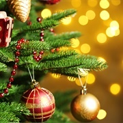 Decorate Christmas Tree