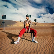 Don Malik - 선인장화