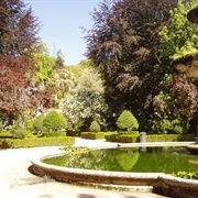 Jardim Botanico De Coimbra
