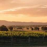 Mudgee, NSW