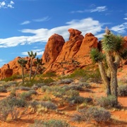Gold Butte National Monument