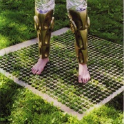 Nervous Cop (Nervous Cop, 2003)