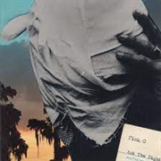 Orenda Fink - Ask the Night