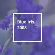 Pantone Color of the Year 2008: Blue Iris